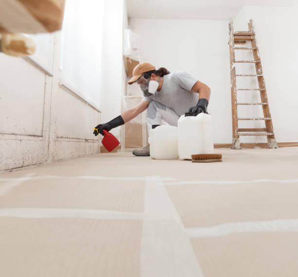 Best Indoor Air Quality Assessment  in Phelan, CA